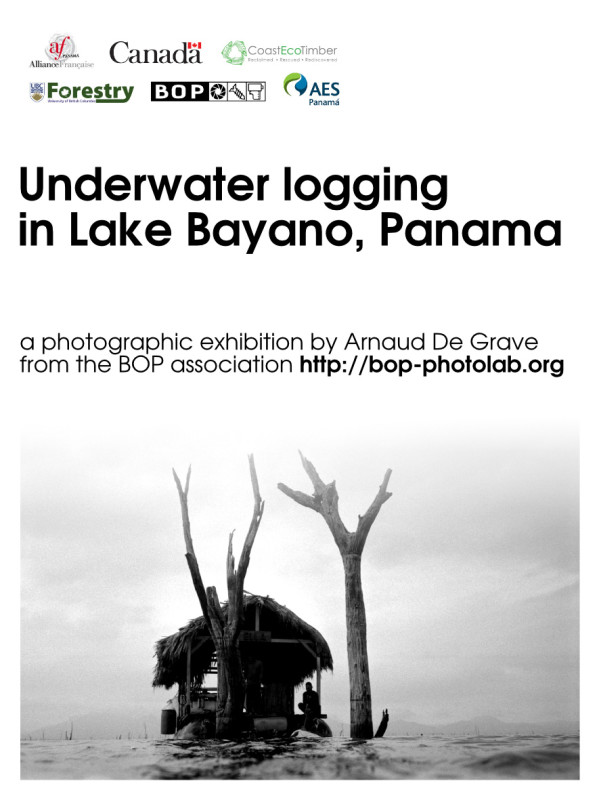 Underwater logging - AF Flyer