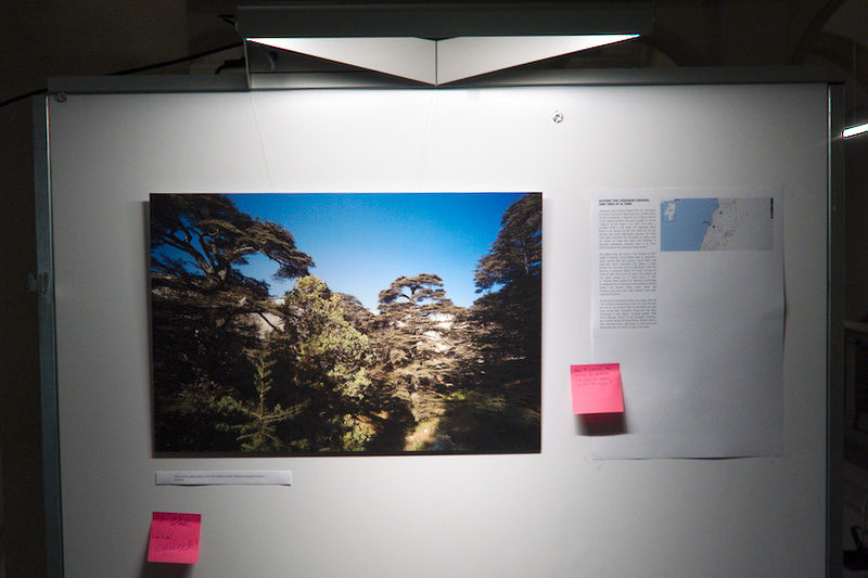 Installation @ Latsis Symposium June 2018 - "Reforesting Lebanon, one cedar at a time" story